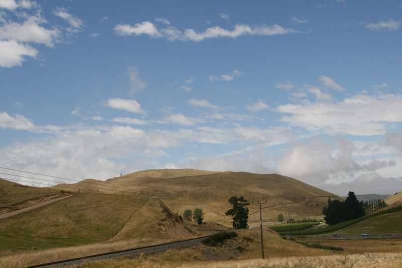 Nieuw-Zeeland 2011 - 1070